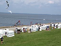 Nordsee Wattenmeer und grner Strand mit Strandkrben Ruhe und Erholung